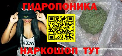 твердый Берёзовский