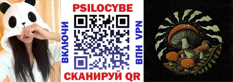 купить наркотики цена Калуга Галлюциногенные грибы Magic Shrooms