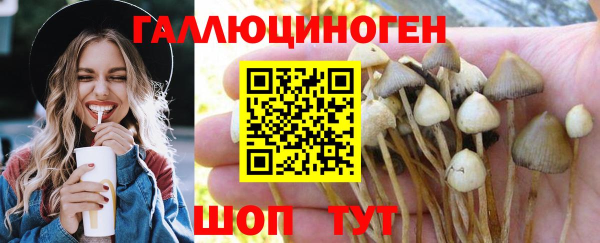 Галлюциногенные грибы Psilocybine cubensis  Вход с VPN  Псилоцибиновые грибы ЛСД  Калуга 